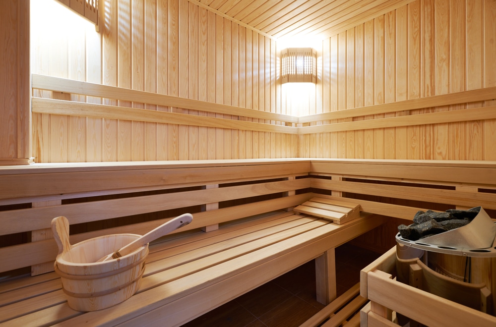 Aan boord zakdoek Rafflesia Arnoldi Finse sauna kopen: Soorten sauna's en hun prijzen